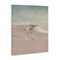Stupell Industries Sandpiper at Shore's Edge Canvas By Danhui Nai